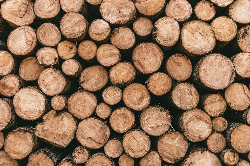 Cut ends of stacked timber logs